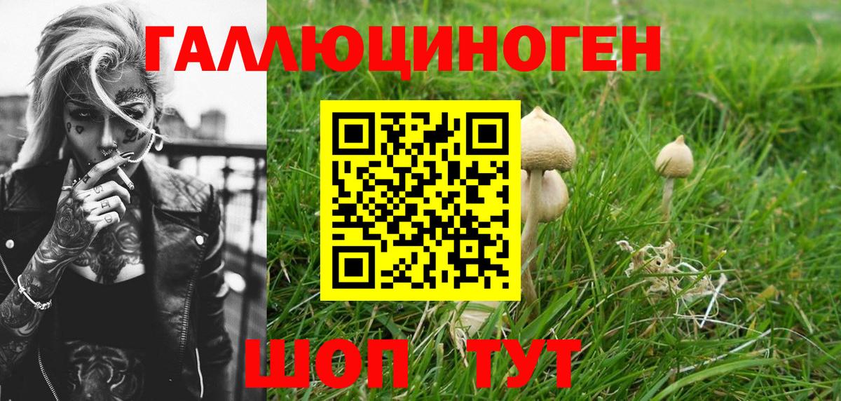 Казань  Галлюциногенные грибы GOLDEN TEACHER  Псилоцибиновые грибы GOLDEN TEACHER  закладка  Вход с VPN 
