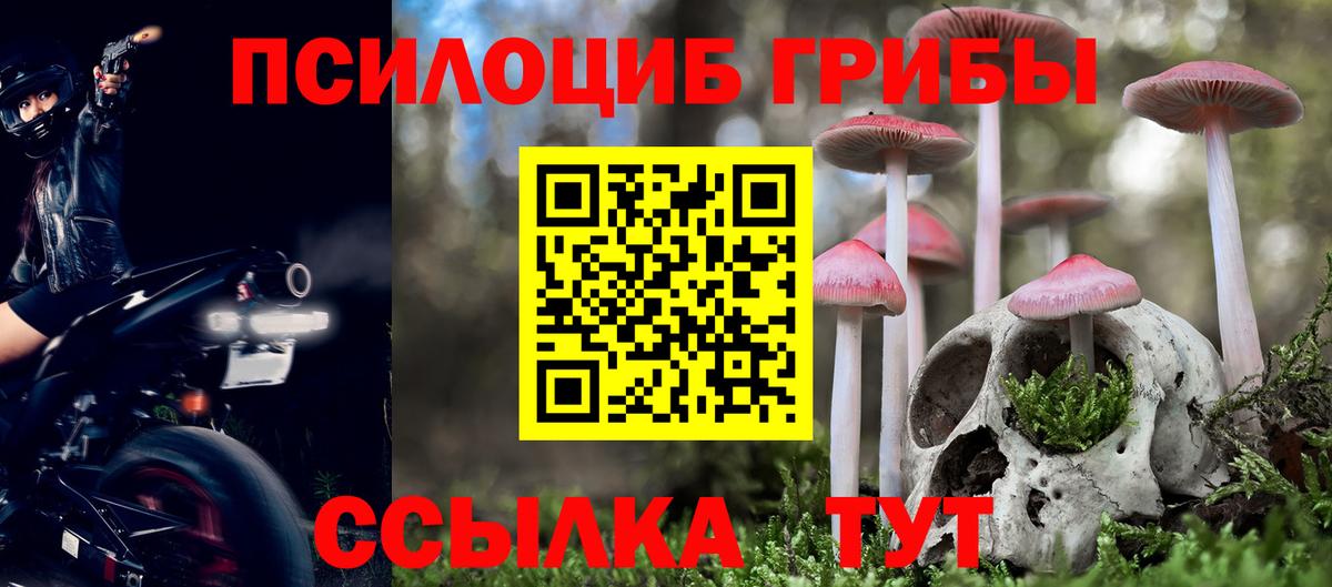Псилоцибиновые грибы MAGIC MUSHROOMS Казань